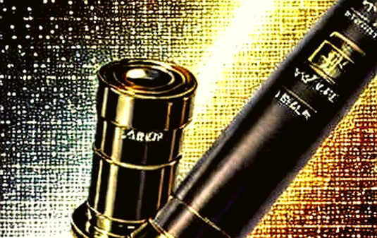 Phục Sinh Từ Đống Tro Tàn: Câu Chuyện Của Kẻ Săn Mồi Trong Mùa Đông Crypto Phục Sinh Từ Đống Tro Tàn: Câu Chuyện Của Kẻ Săn Mồi Trong Mùa Đông Crypto